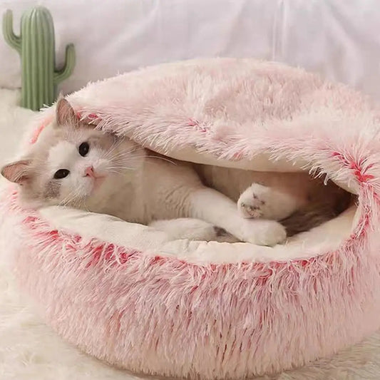 Cat lying on a fluffy pink pet bed with a cactus in the background
