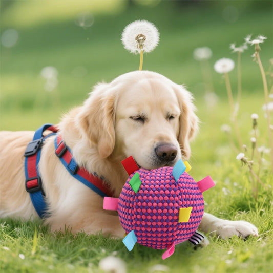 TagBall™ — Interactive Sensory Dog Toy